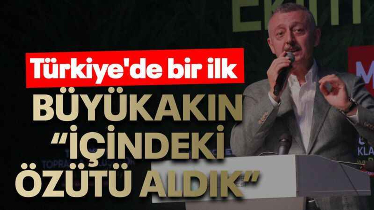 Ayçiçeği yağı bu özütle daha sağlıklı olacak